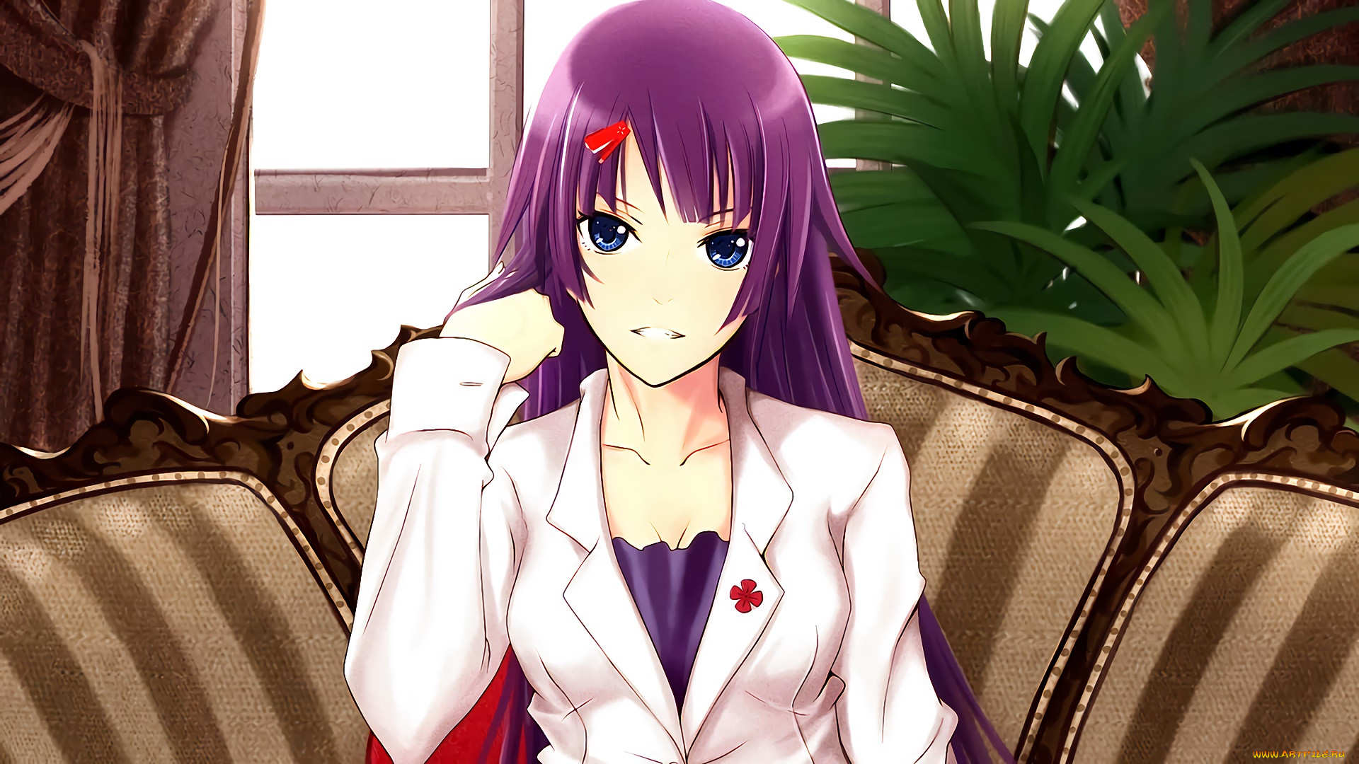 , bakemonogatari, , , 